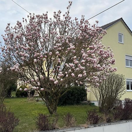 W&P Living Wohnung Mit Ausblick - Parkplatz Biberbach  Luaran gambar