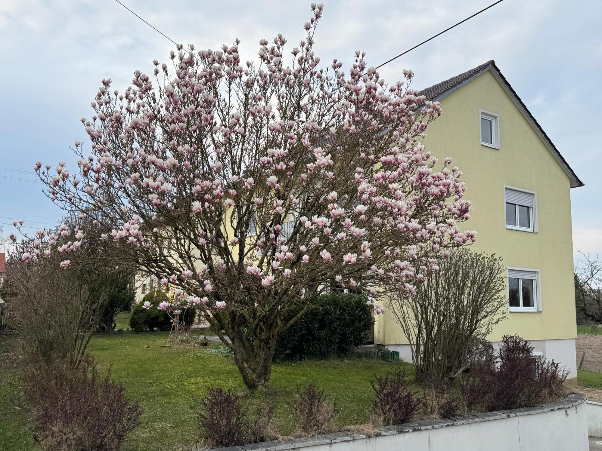 W&P Living Wohnung Mit Ausblick - Parkplatz Biberbach  Luaran gambar